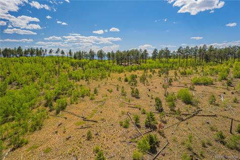 Lot 2 County Road 51 Florissant CO 80816