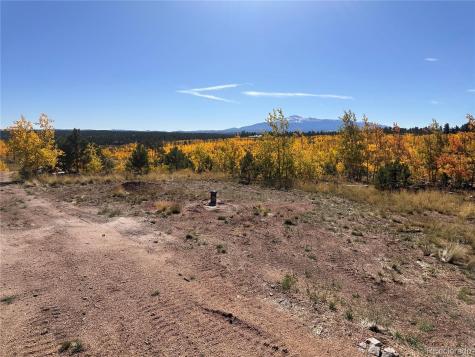 Lot 2 County Road 51 Florissant CO 80816