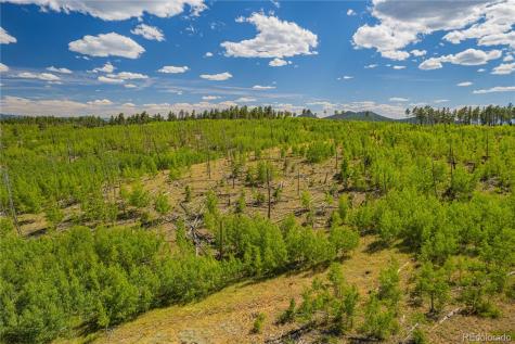 Lot 2 County Road 51 Florissant CO 80816