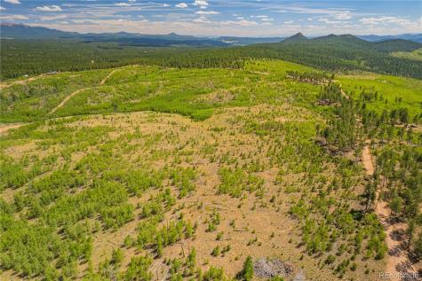 Lot 2 County Road 51 Florissant CO 80816