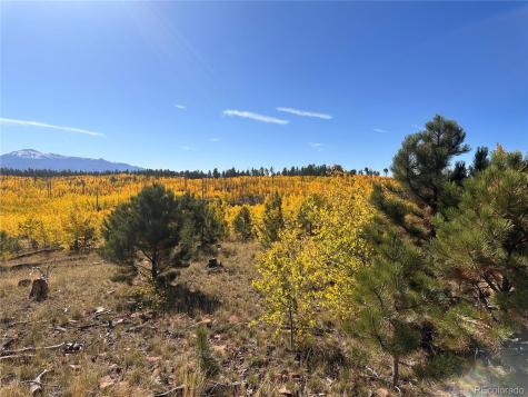 Lot 2 County Road 51 Florissant CO 80816