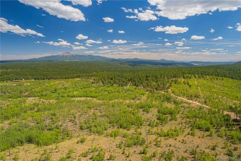 Lot 2 County Road 51 Florissant CO 80816