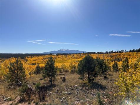 Lot 2 County Road 51 Florissant CO 80816