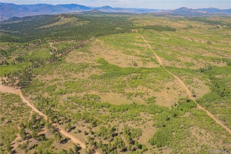 Lot 2 County Road 51 Florissant CO 80816