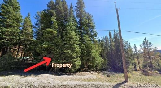 Lot 47 Silver Creek Road Idaho Springs CO 80452