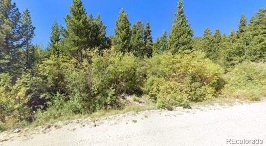 Lot 47 Silver Creek Road Idaho Springs CO 80452