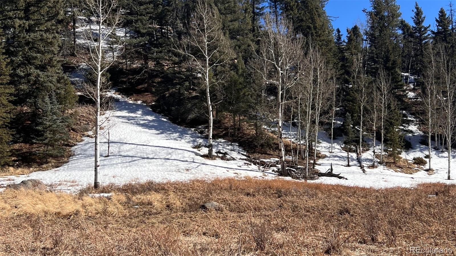 506 Arrowhead Road Florissant CO 80816