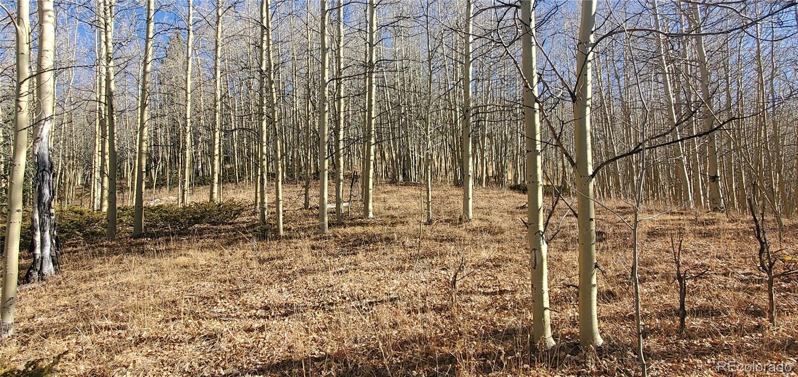 Lot's 6414 & 6415 Bronfman Road Fort Garland CO 81133