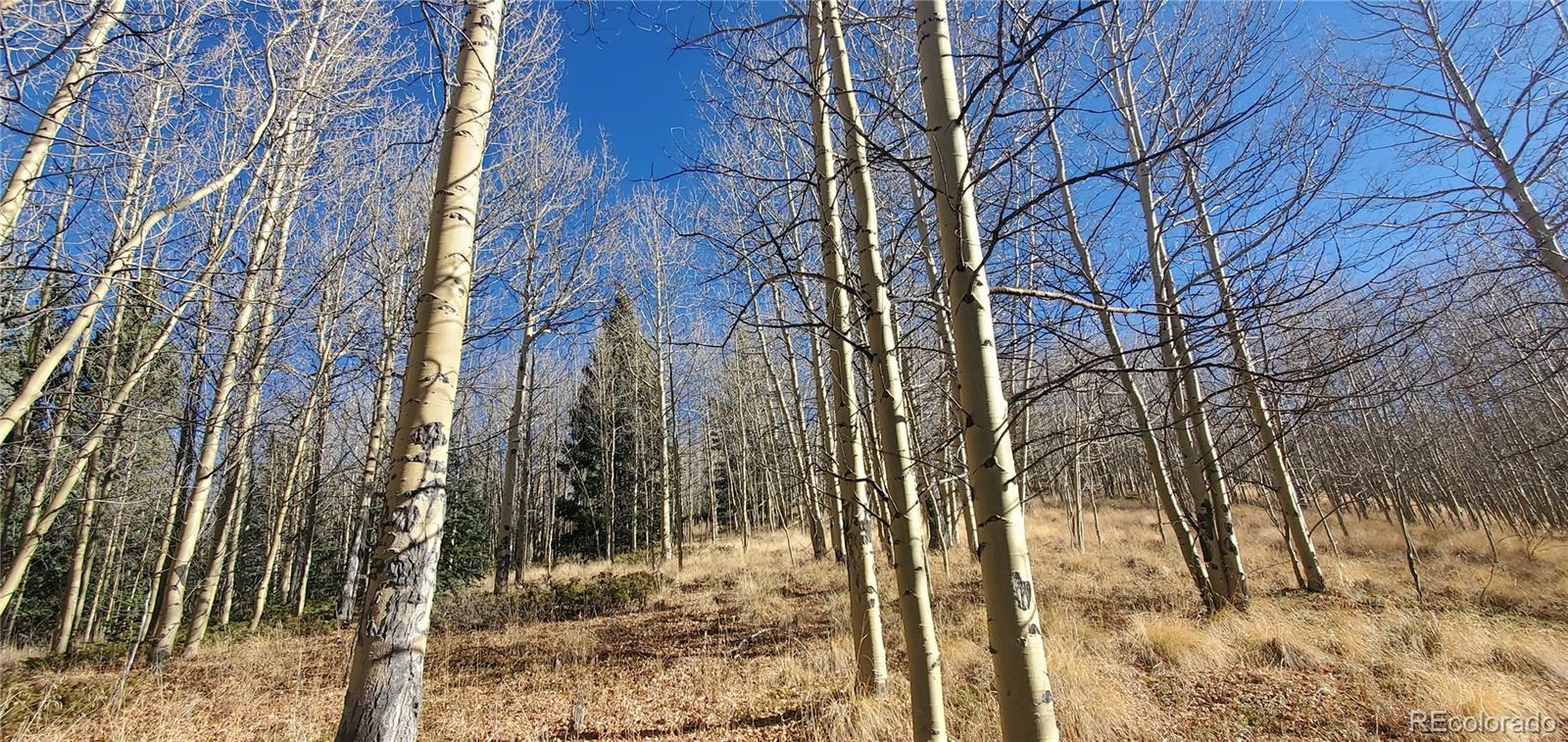Lot's 6414 & 6415 Bronfman Road Fort Garland CO 81133