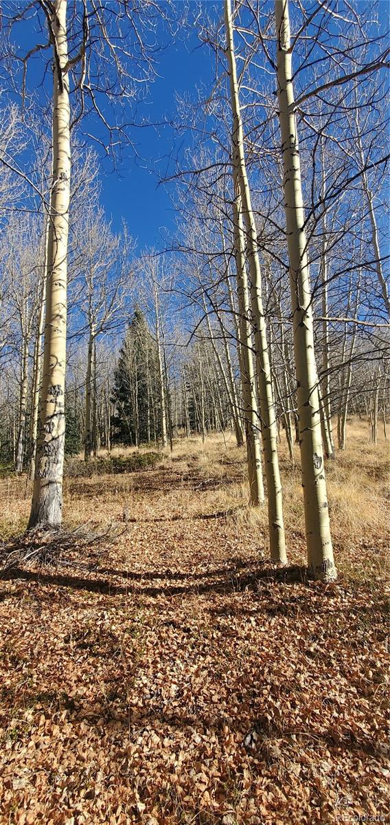 Lot's 6414 & 6415 Bronfman Road Fort Garland CO 81133