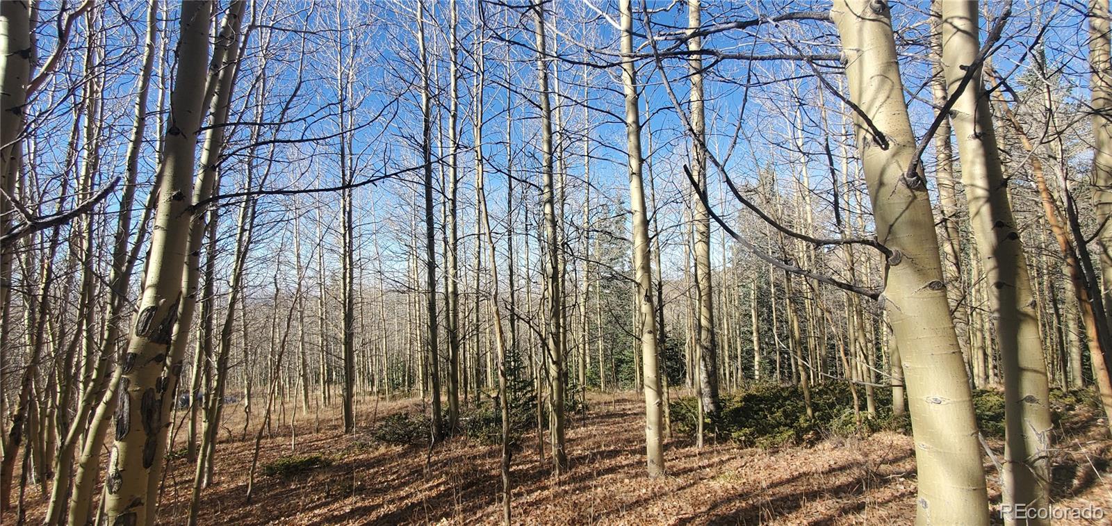 Lot's 6414 & 6415 Bronfman Road Fort Garland CO 81133