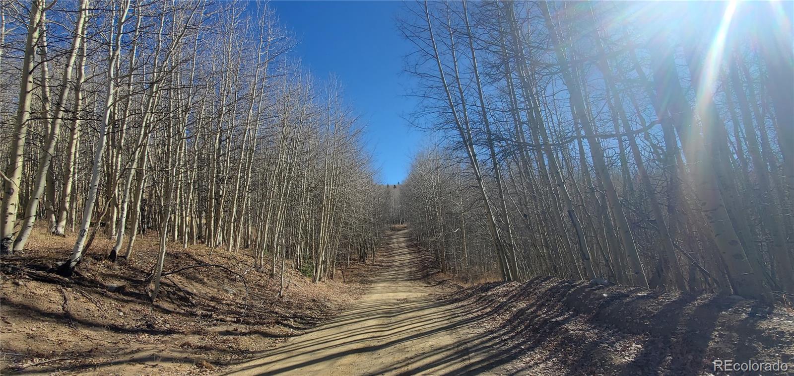 Lot's 6414 & 6415 Bronfman Road Fort Garland CO 81133
