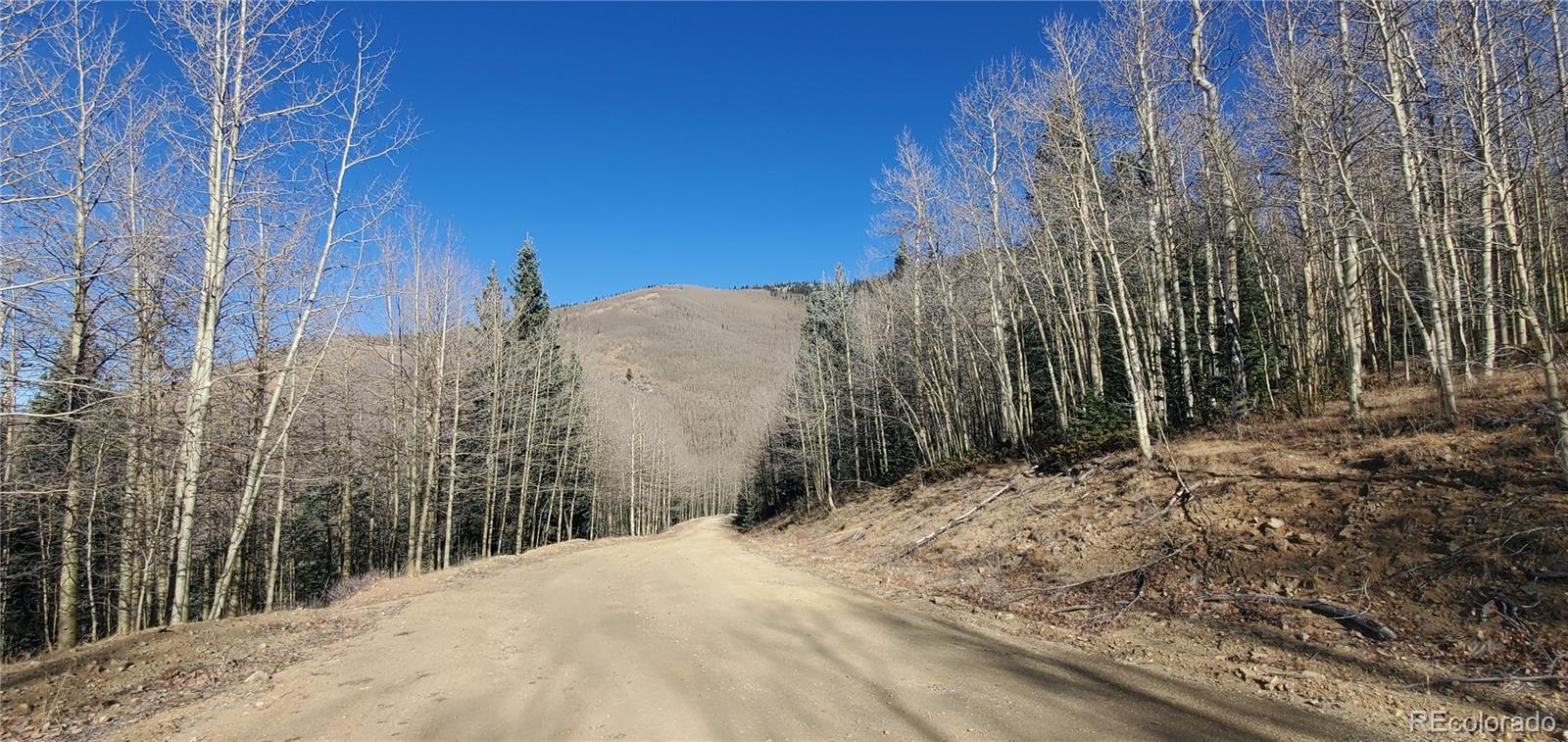 Lot's 6414 & 6415 Bronfman Road Fort Garland CO 81133