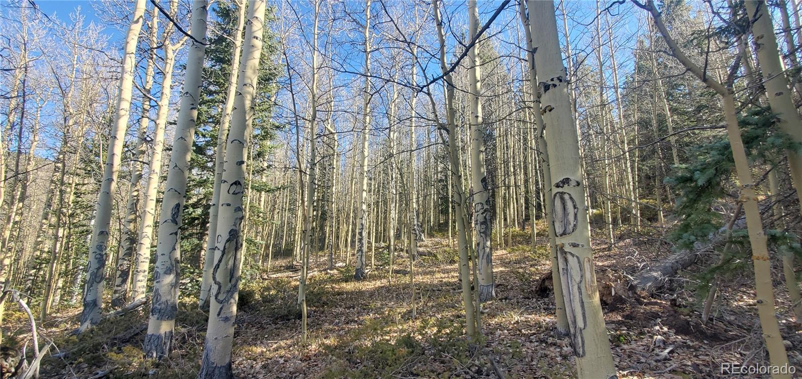 Lot's 6414 & 6415 Bronfman Road Fort Garland CO 81133
