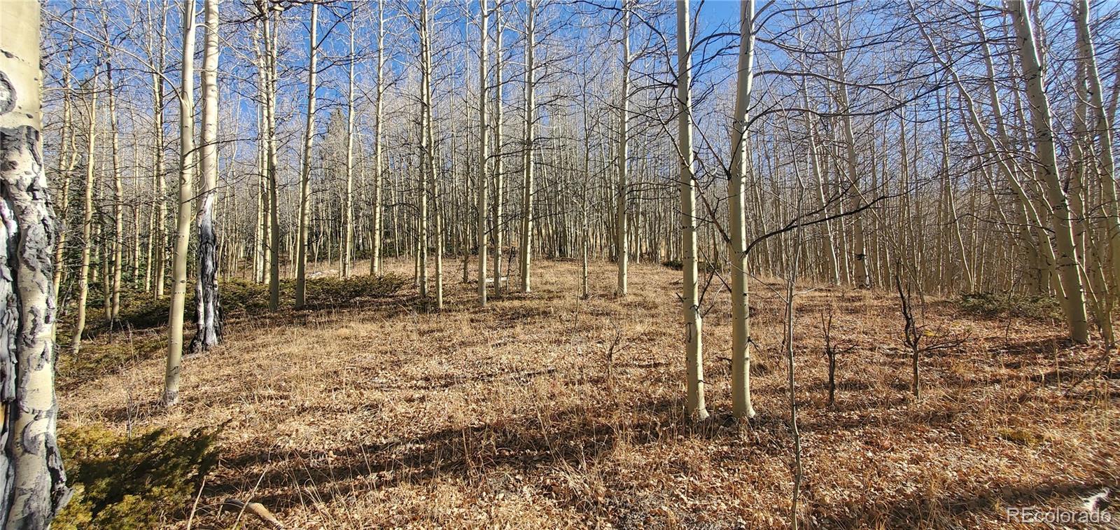 Lot's 6414 & 6415 Bronfman Road Fort Garland CO 81133
