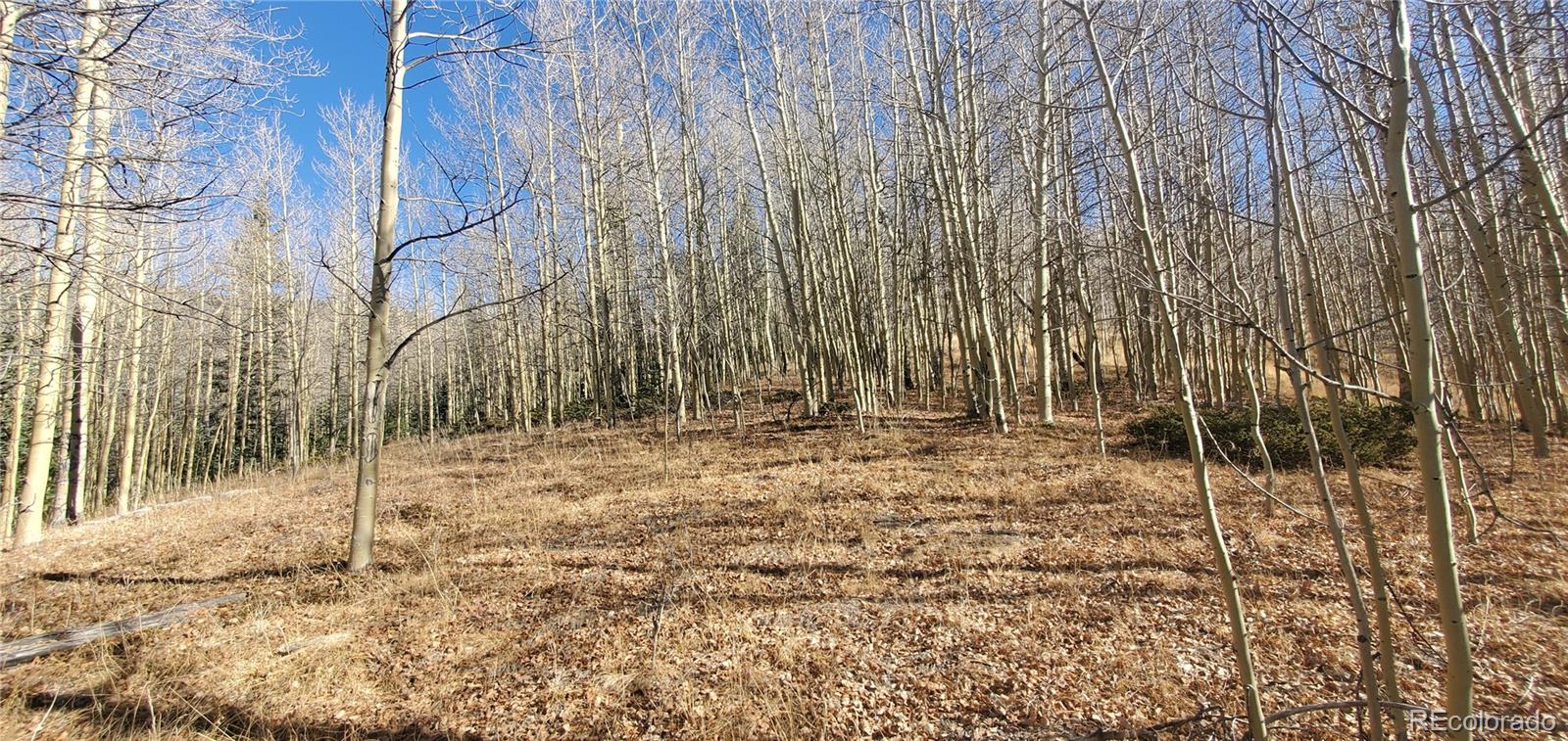 Lot's 6414 & 6415 Bronfman Road Fort Garland CO 81133