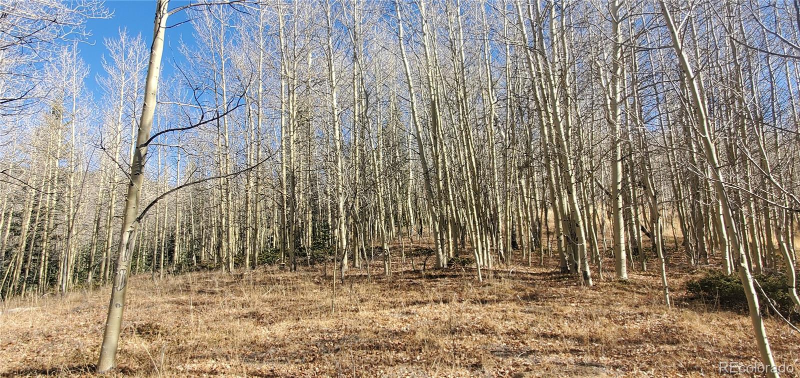 Lot's 6414 & 6415 Bronfman Road Fort Garland CO 81133