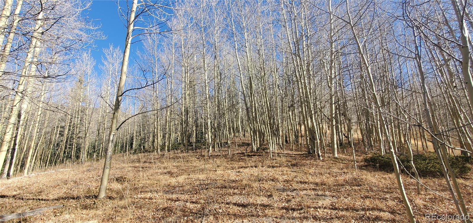 Lot's 6414 & 6415 Bronfman Road Fort Garland CO 81133