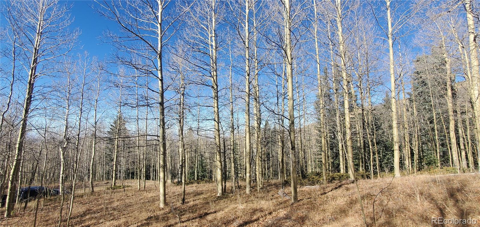 Lot's 6414 & 6415 Bronfman Road Fort Garland CO 81133
