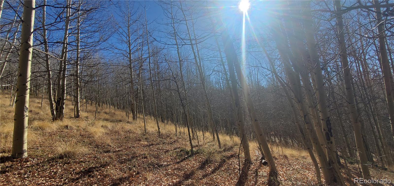 Lot's 6414 & 6415 Bronfman Road Fort Garland CO 81133