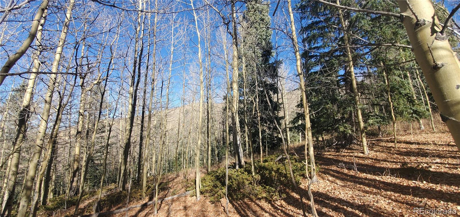 Lot's 6414 & 6415 Bronfman Road Fort Garland CO 81133