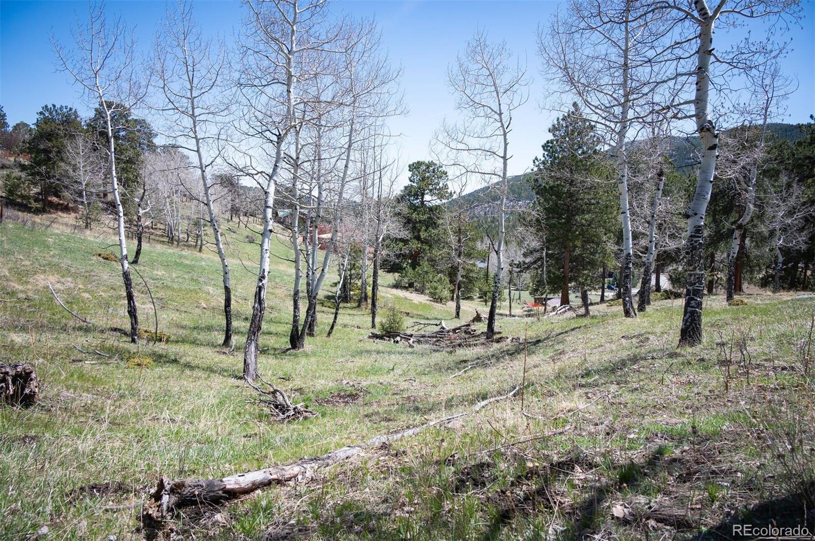 Tbd Pine Valley Road Evergreen CO 80439