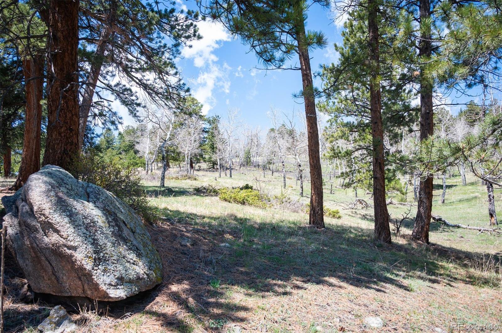 Tbd Pine Valley Road Evergreen CO 80439