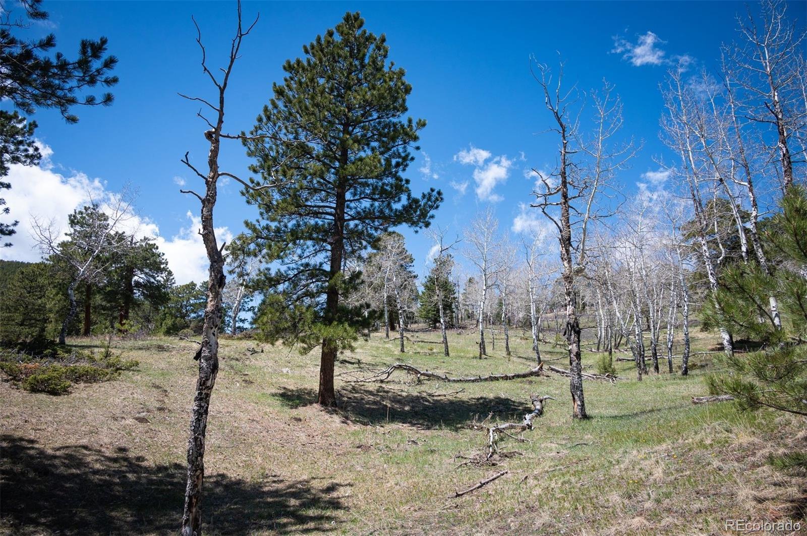 Tbd Pine Valley Road Evergreen CO 80439