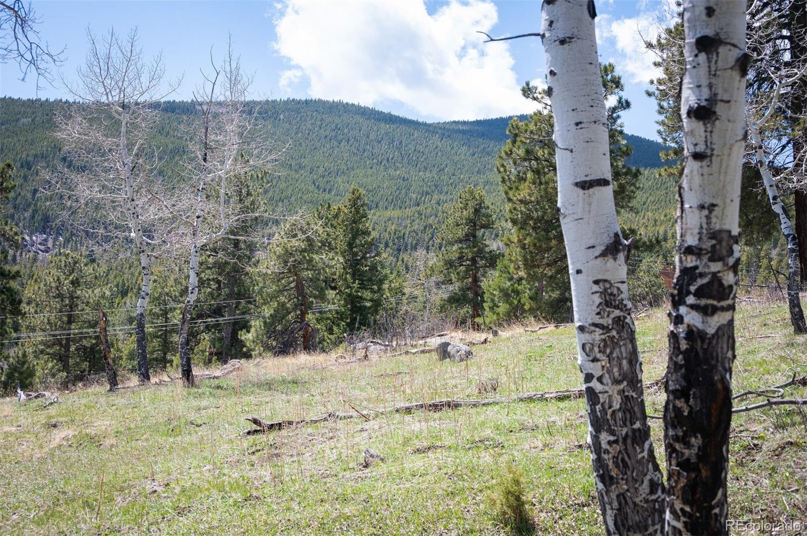 Tbd Pine Valley Road Evergreen CO 80439