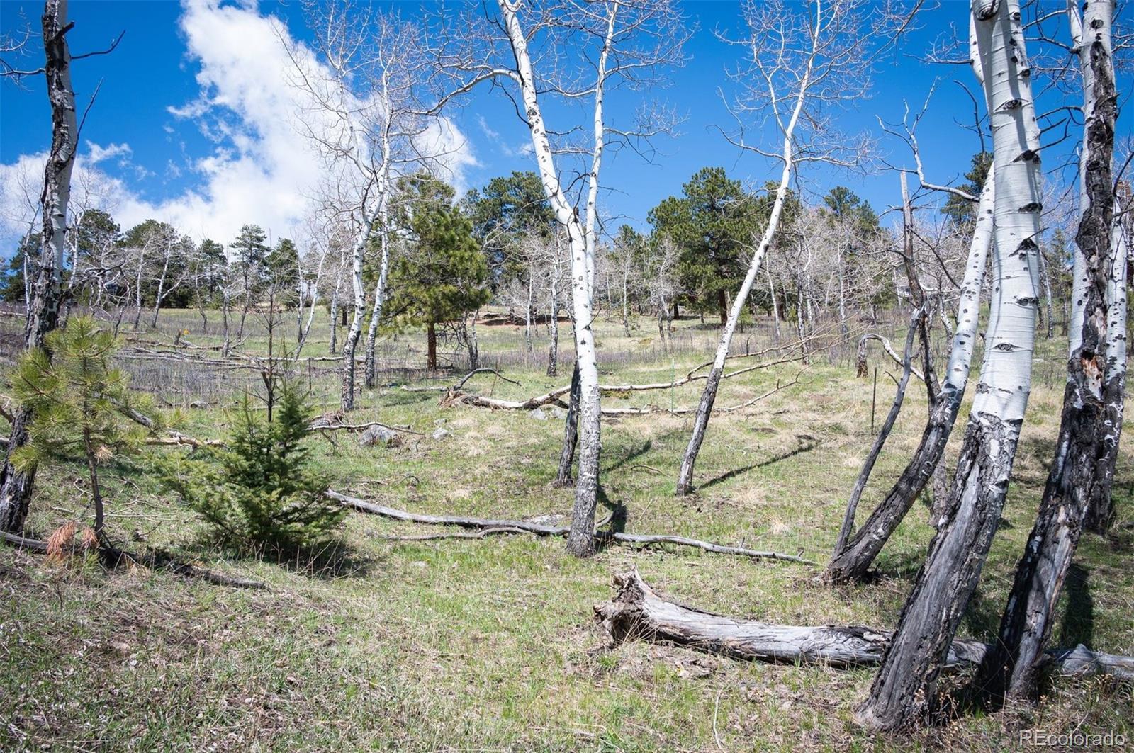 Tbd Pine Valley Road Evergreen CO 80439