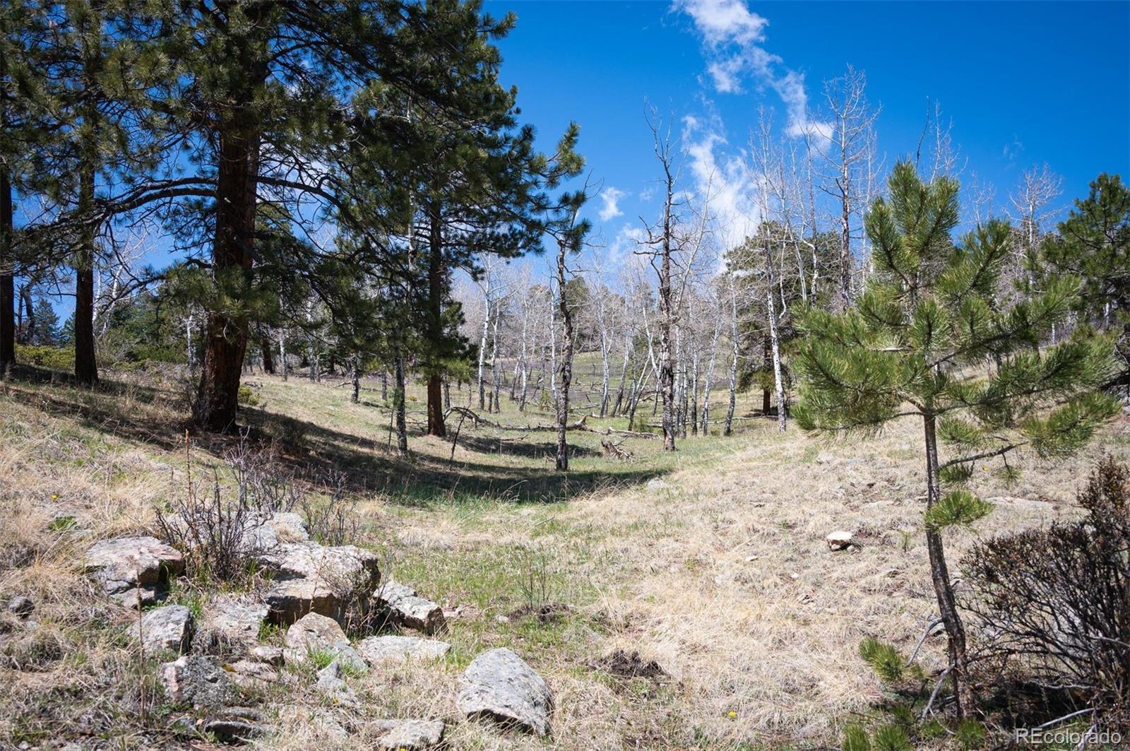 Tbd Pine Valley Road Evergreen CO 80439