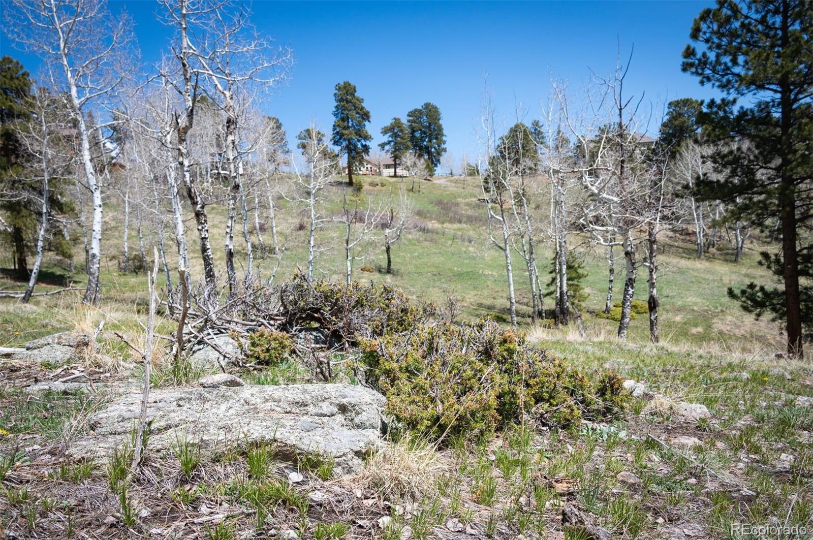 Tbd Pine Valley Road Evergreen CO 80439