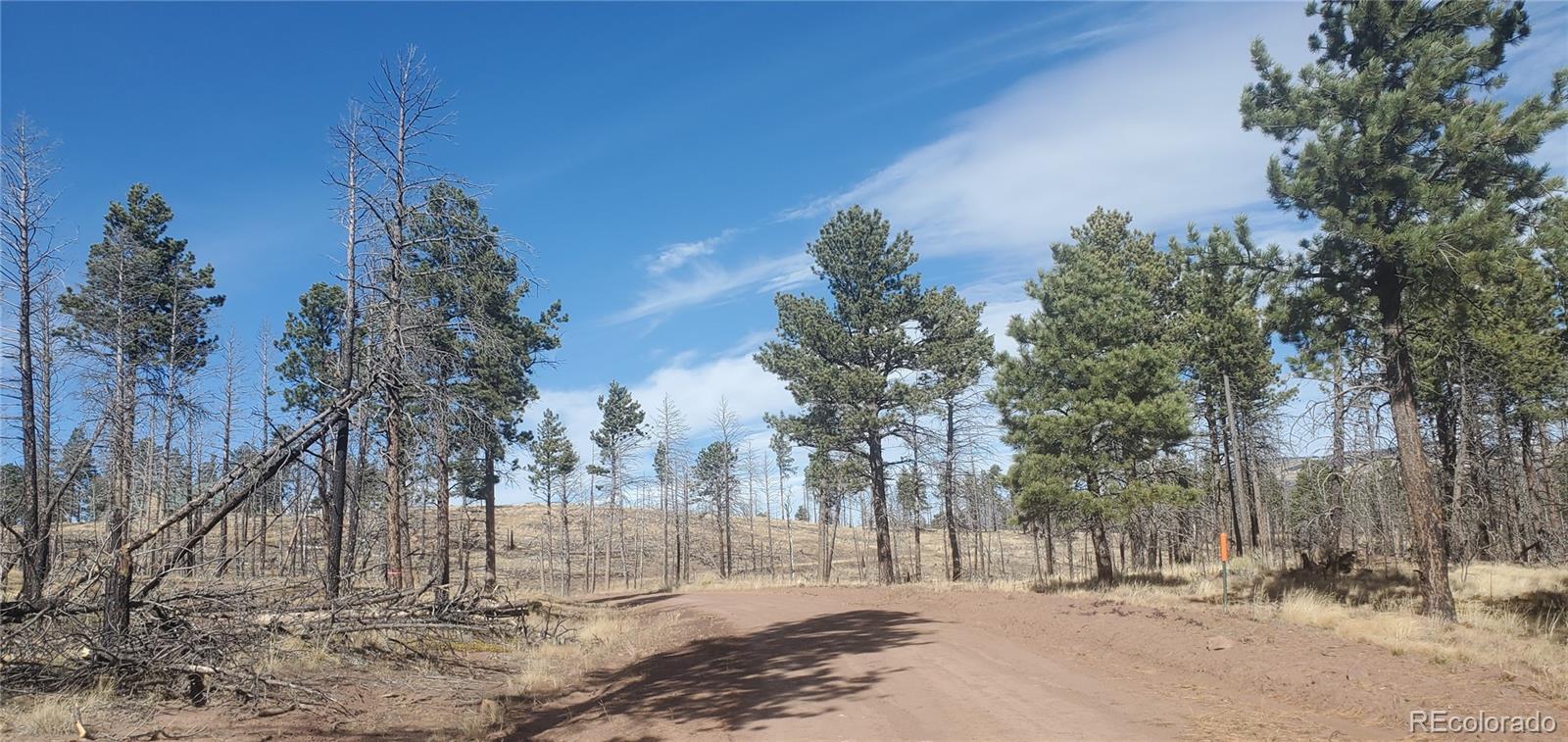 Lot 585 Leslie Loop Fort Garland CO 81133