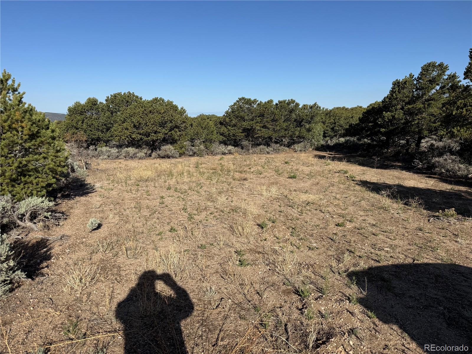 Lot 7067 Waligunda Road Fort Garland CO 81133