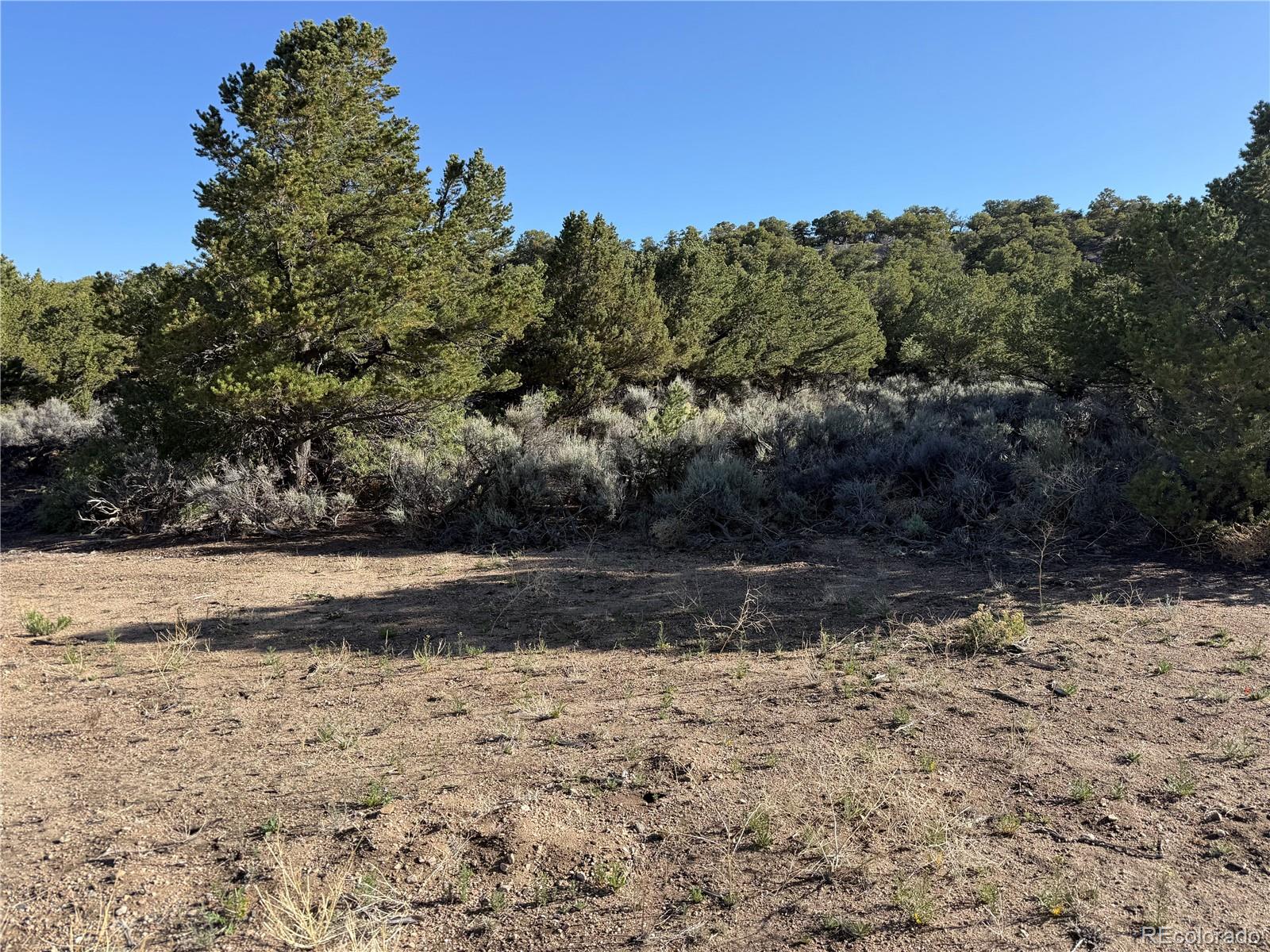 Lot 7067 Waligunda Road Fort Garland CO 81133