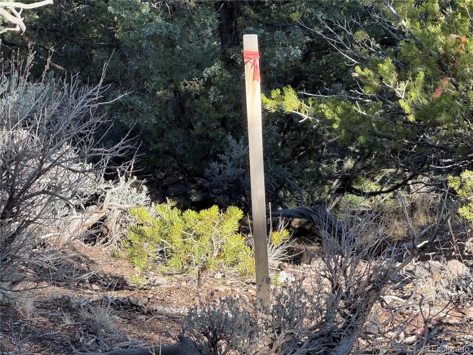 Lot 7067 Waligunda Road Fort Garland CO 81133