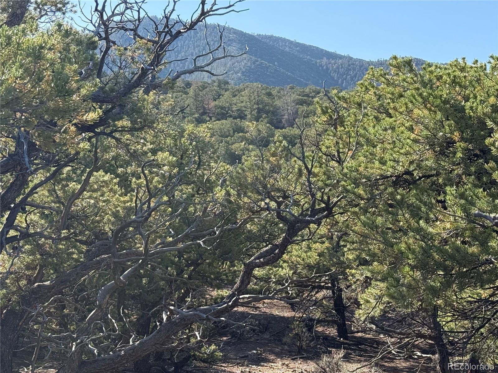 Lot 7067 Waligunda Road Fort Garland CO 81133