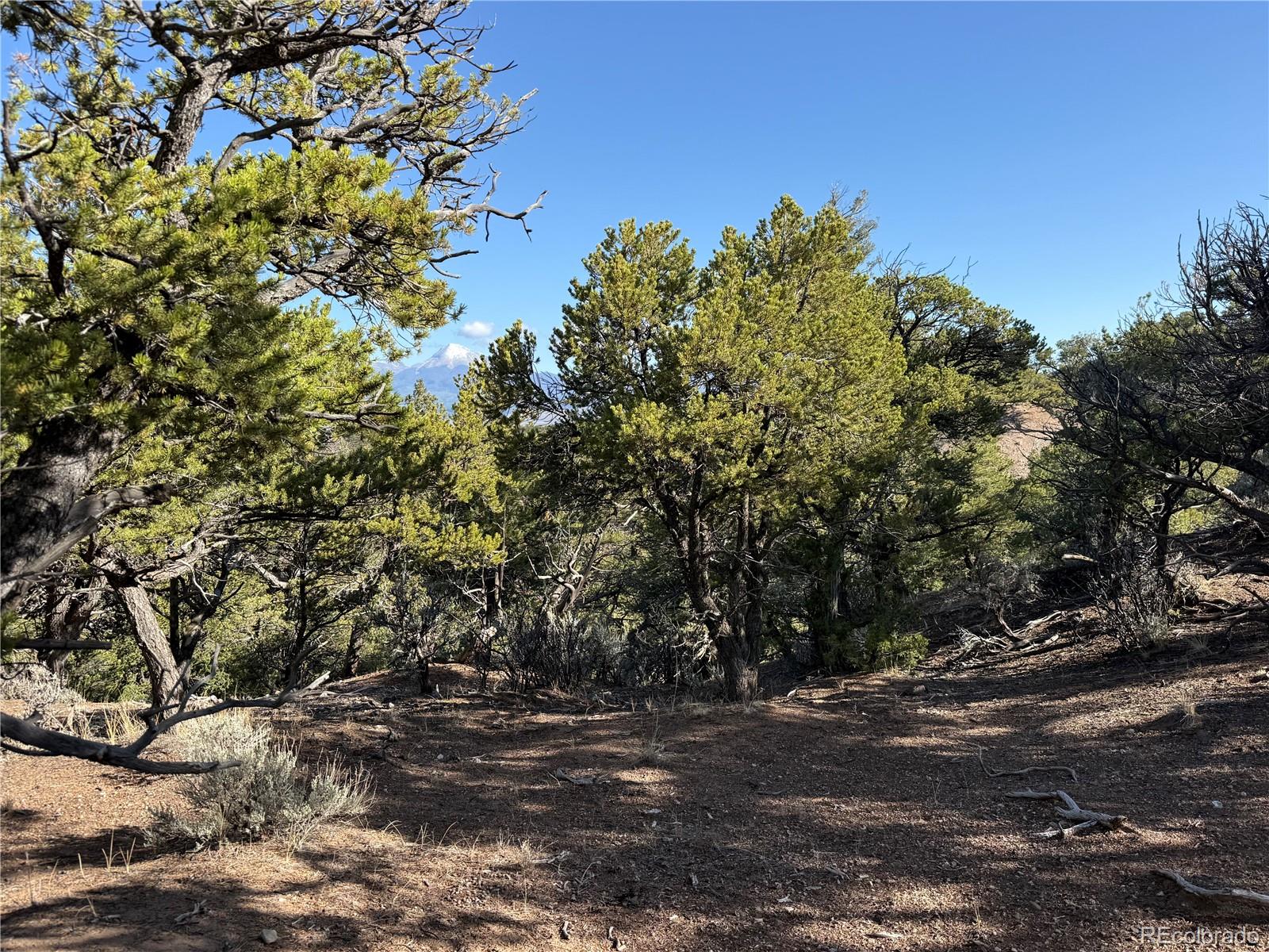 Lot 7067 Waligunda Road Fort Garland CO 81133