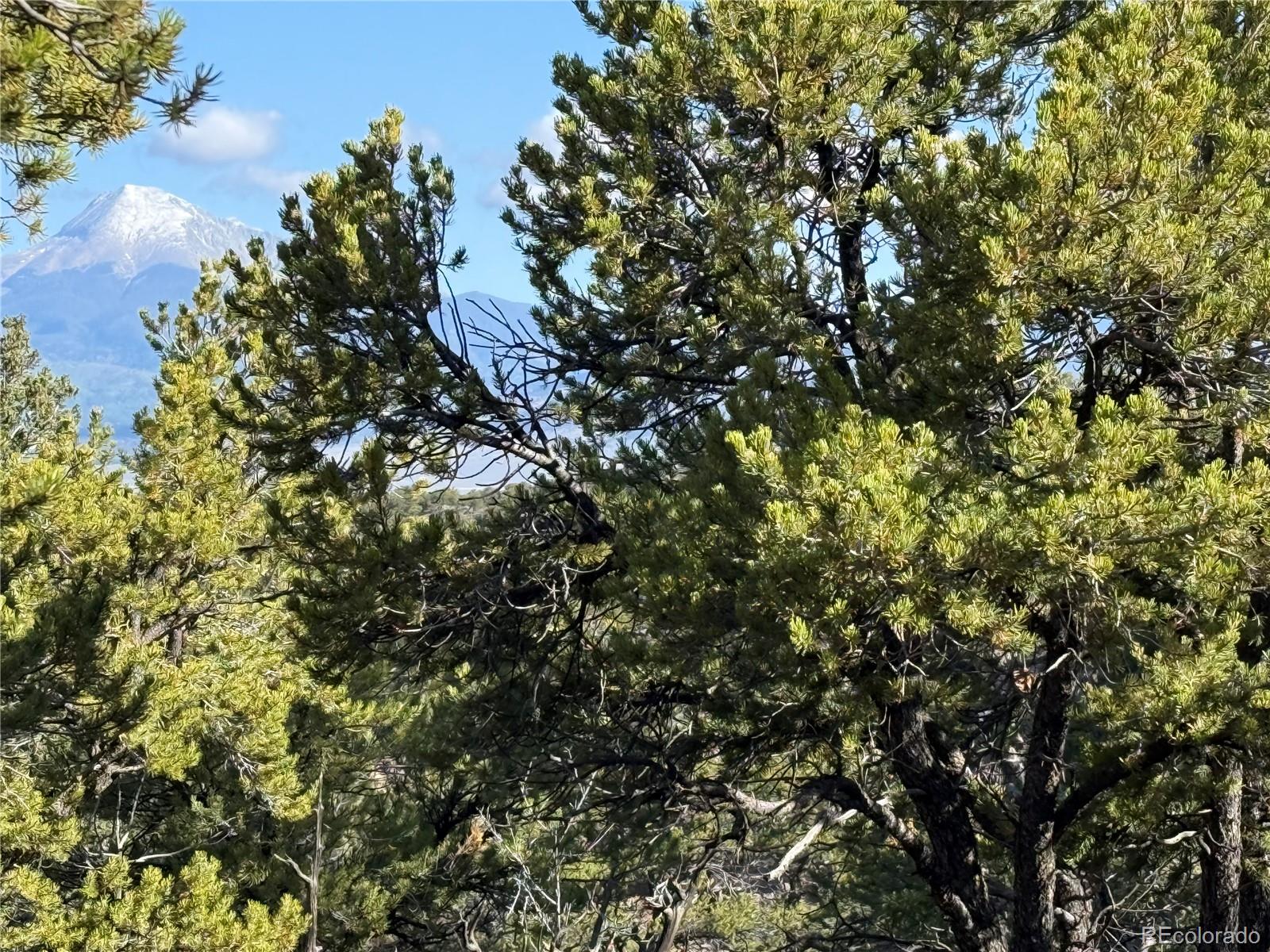 Lot 7067 Waligunda Road Fort Garland CO 81133