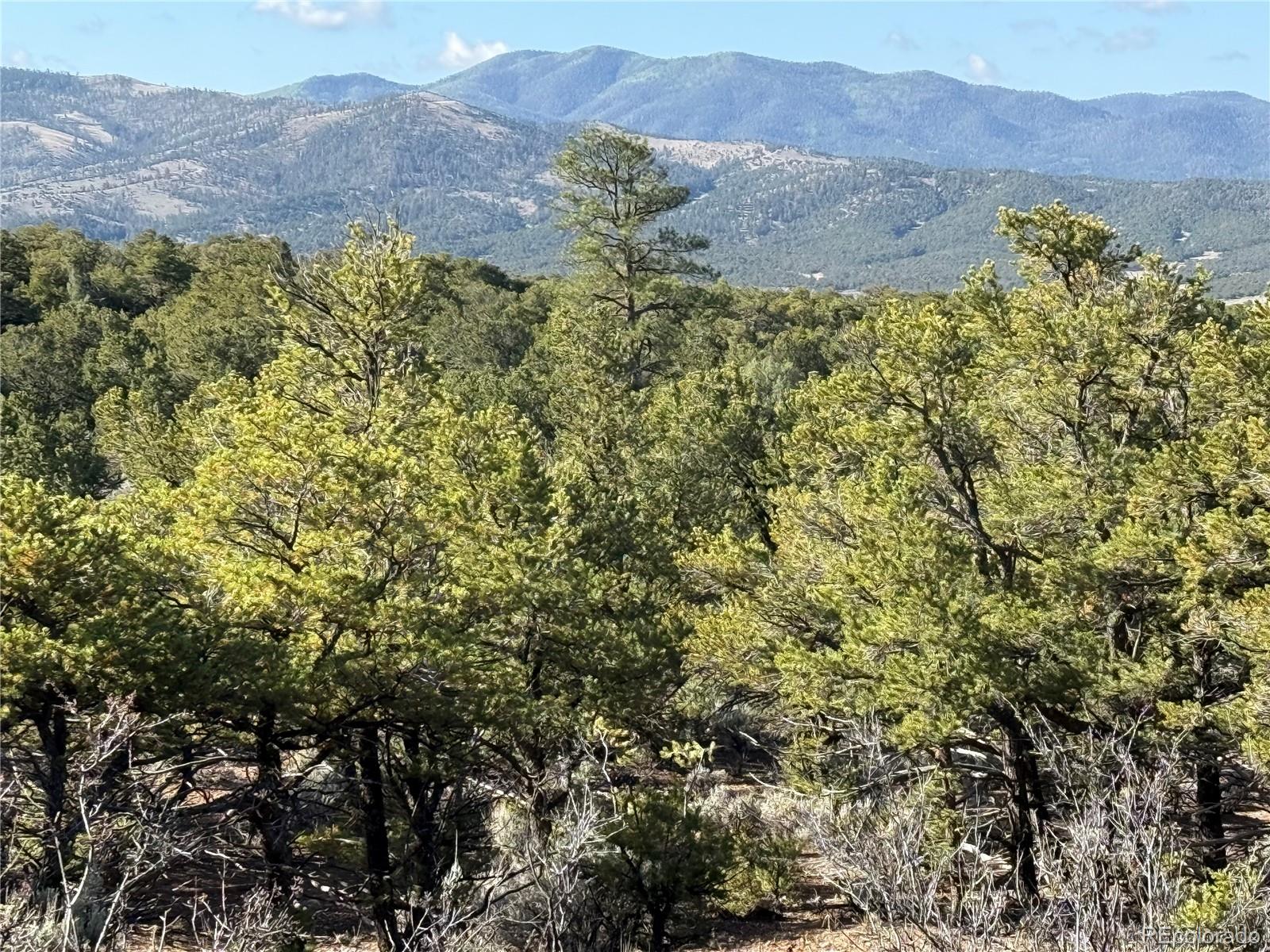 Lot 7067 Waligunda Road Fort Garland CO 81133