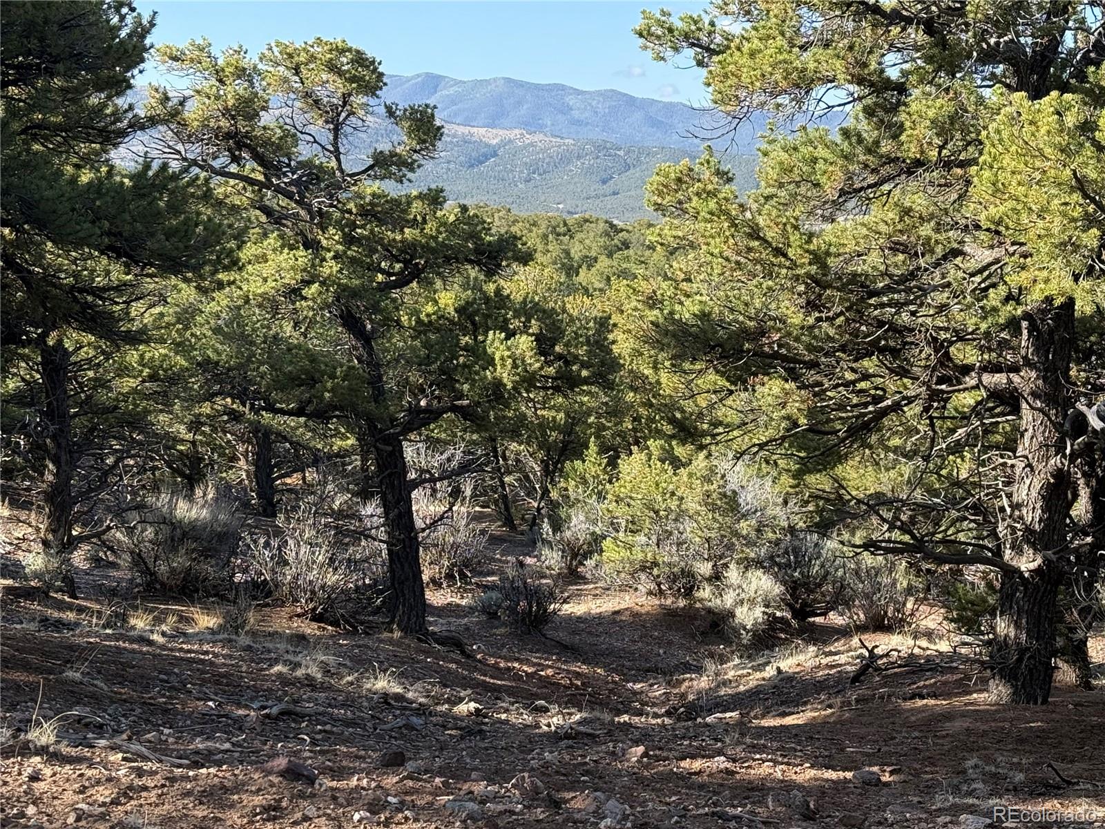 Lot 7067 Waligunda Road Fort Garland CO 81133
