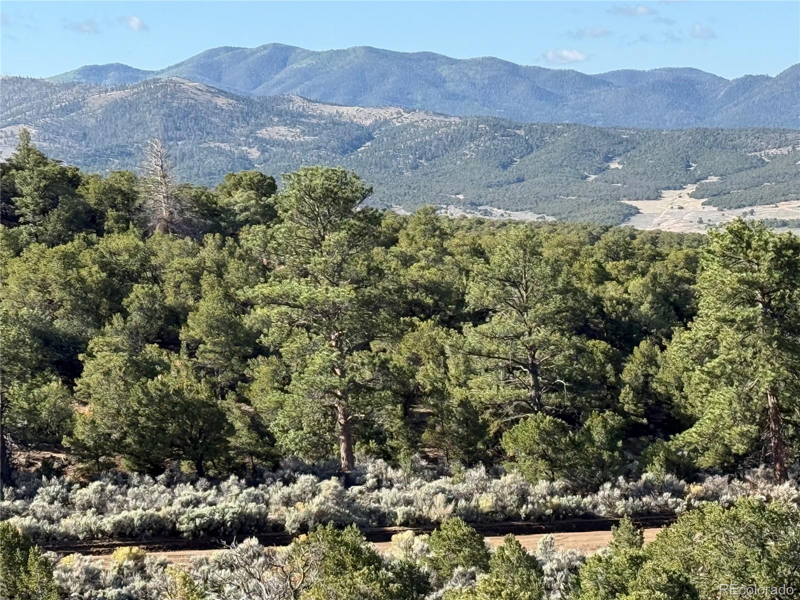 Lot 7067 Waligunda Road Fort Garland CO 81133