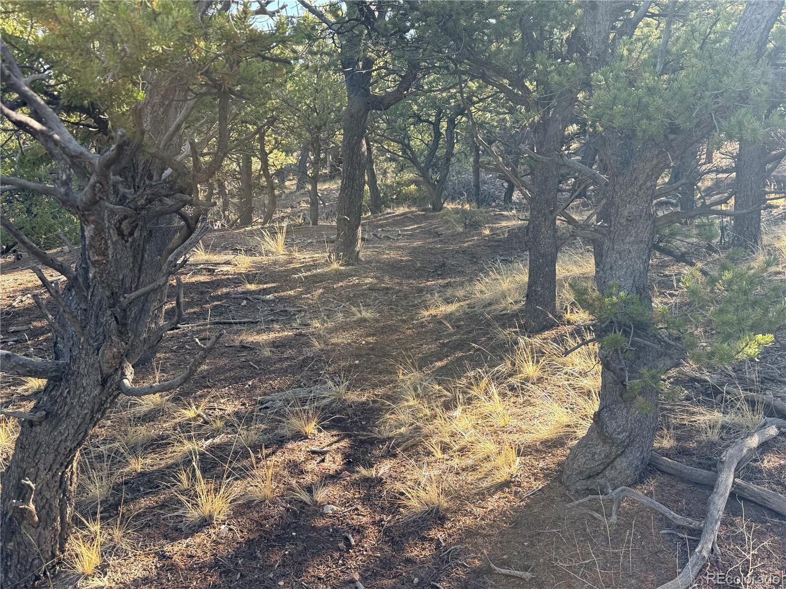 Lot 7067 Waligunda Road Fort Garland CO 81133