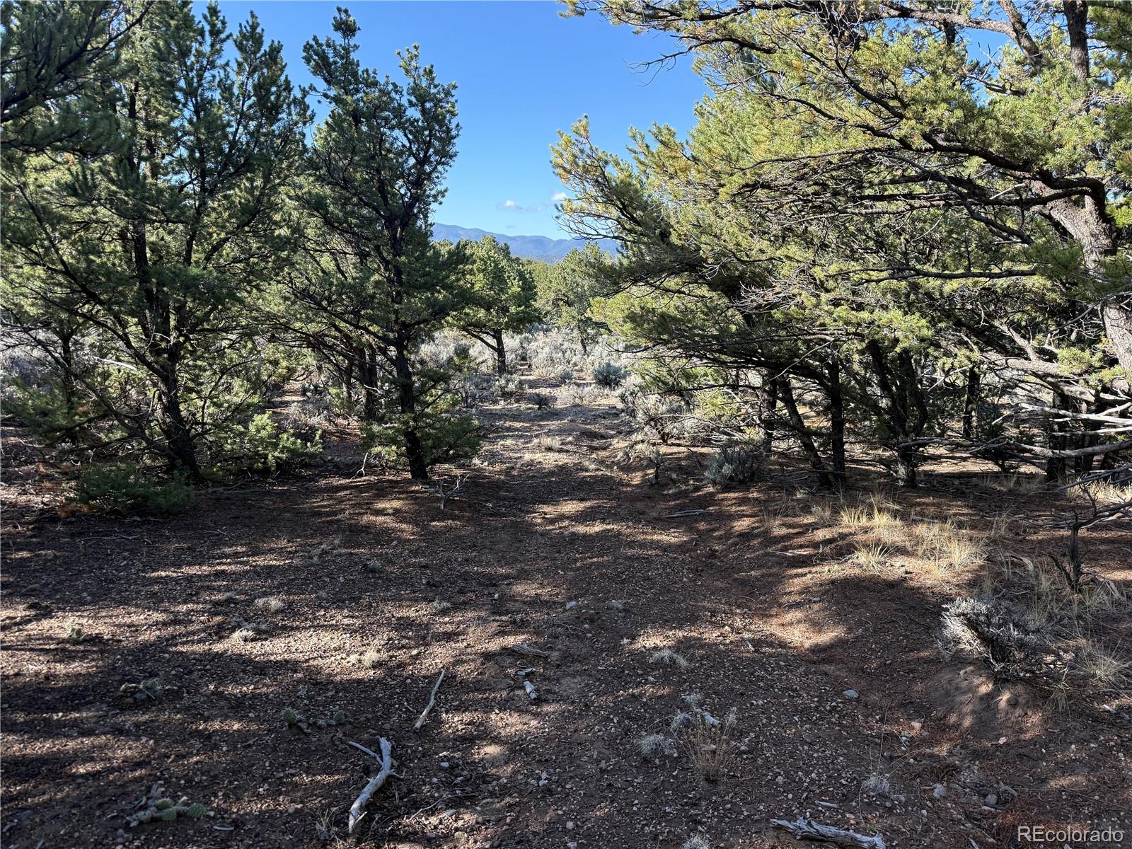 Lot 7067 Waligunda Road Fort Garland CO 81133