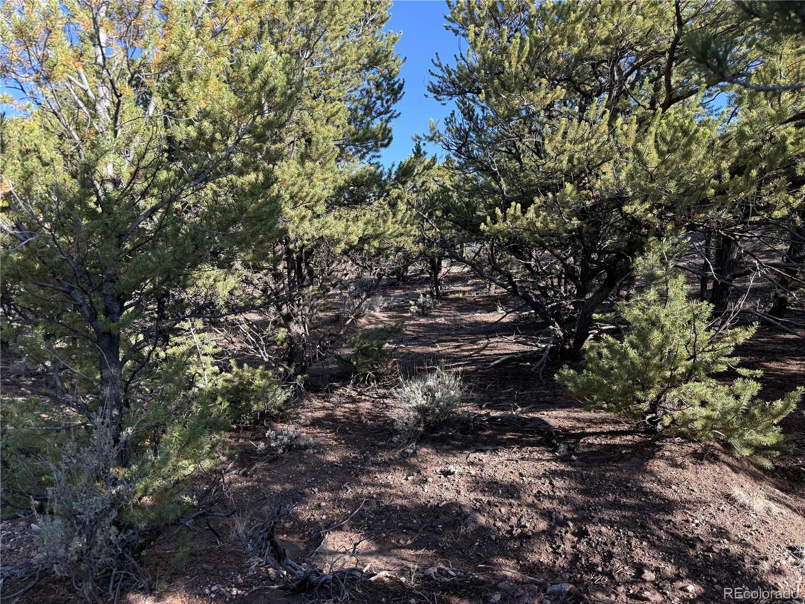 Lot 7067 Waligunda Road Fort Garland CO 81133