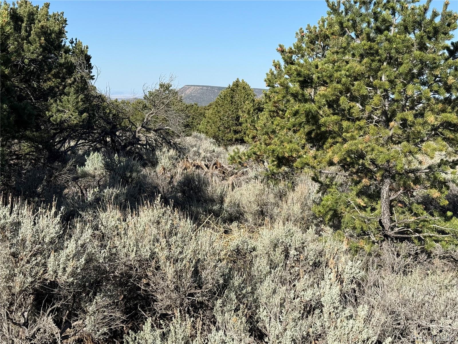 Lot 7067 Waligunda Road Fort Garland CO 81133