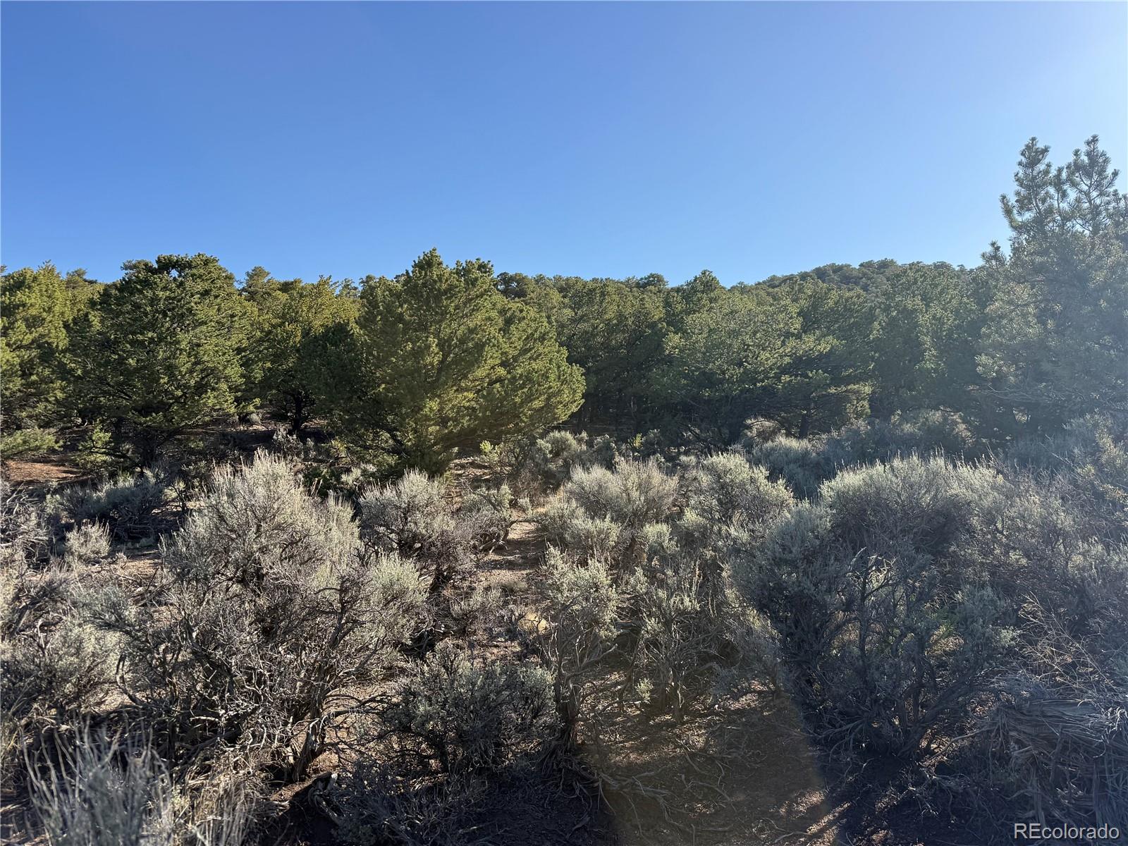 Lot 7067 Waligunda Road Fort Garland CO 81133