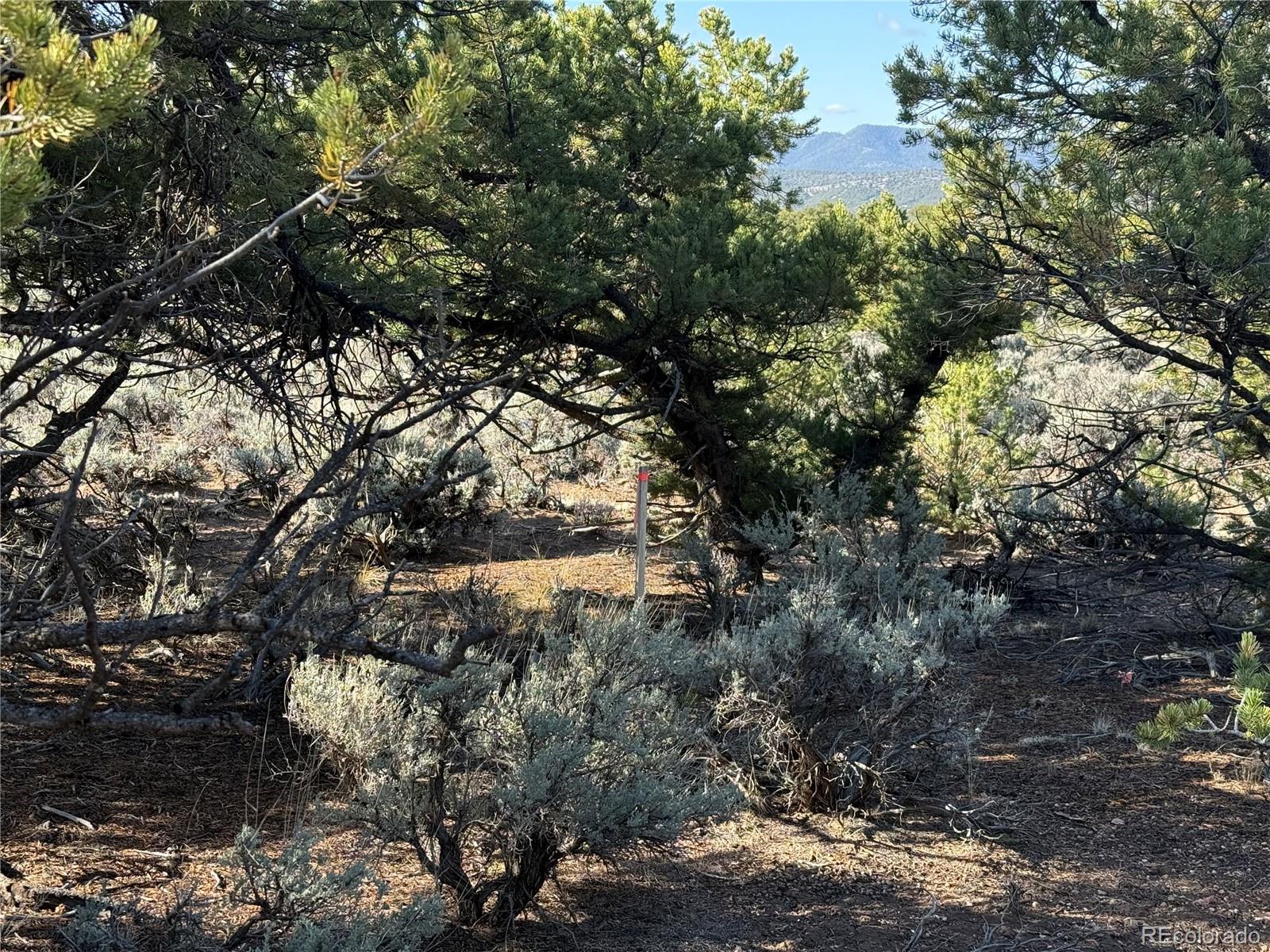 Lot 7067 Waligunda Road Fort Garland CO 81133