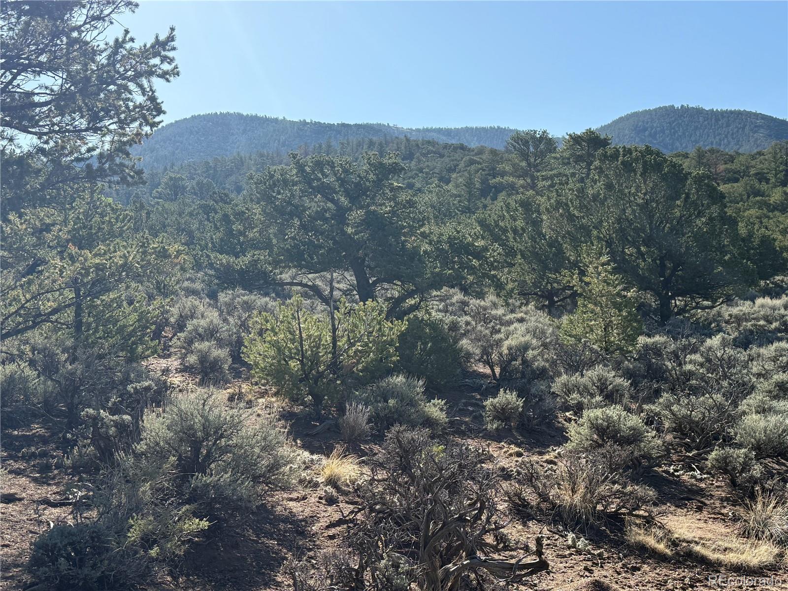 Lot 7067 Waligunda Road Fort Garland CO 81133