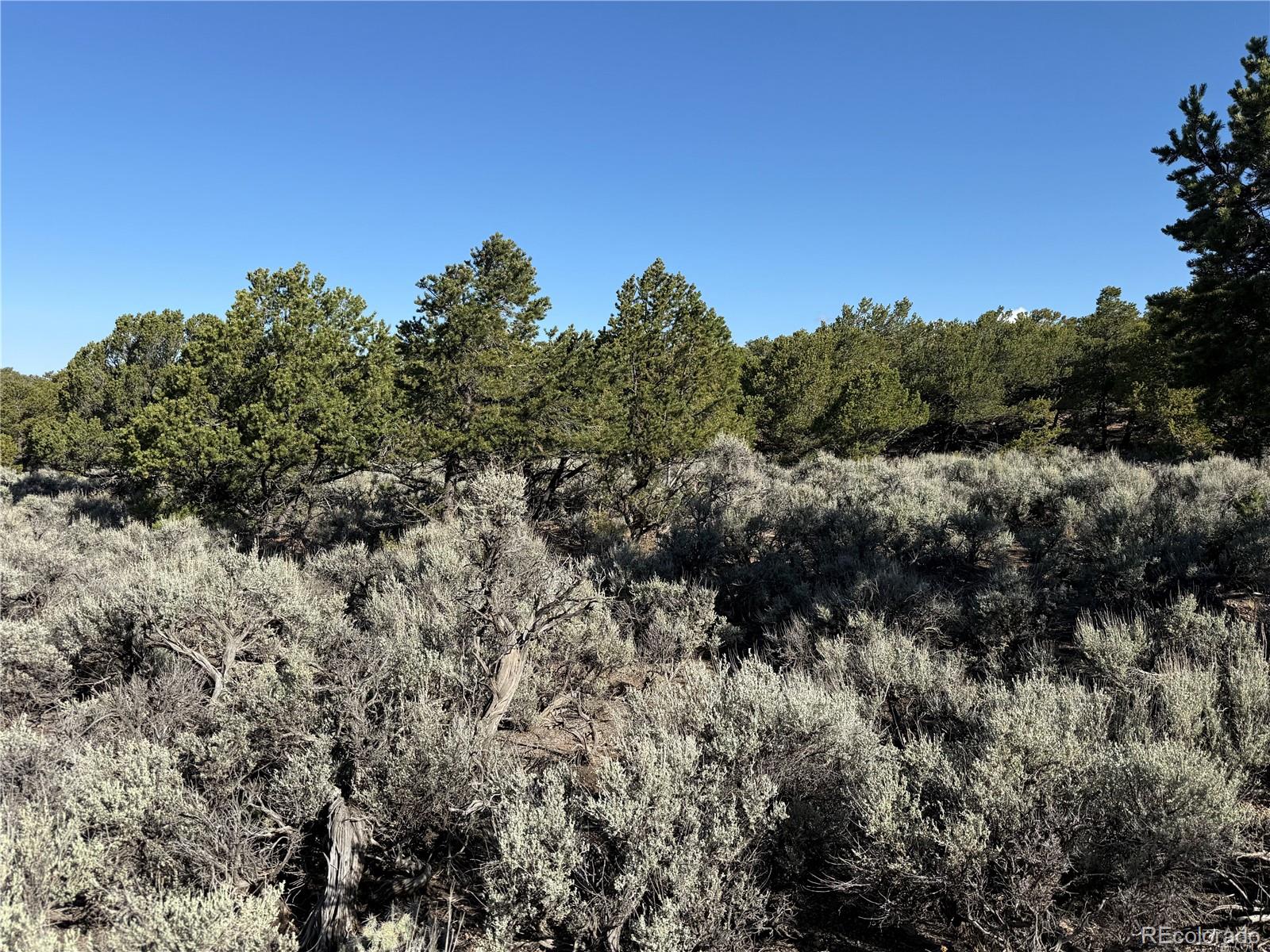 Lot 7067 Waligunda Road Fort Garland CO 81133